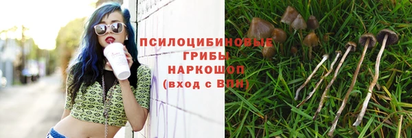 не бодяженный Аркадак