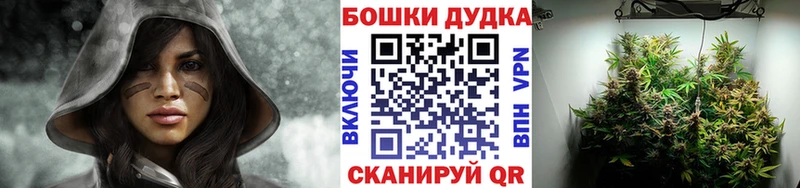 Бошки Шишки White Widow  Рассказово 
